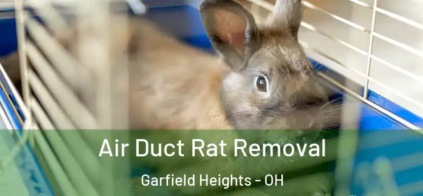 Air Duct Rat Removal Garfield Heights - OH