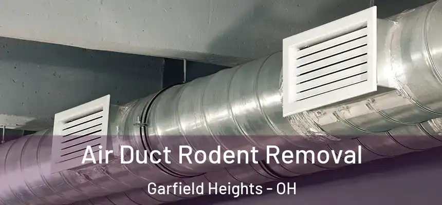 Air Duct Rodent Removal Garfield Heights - OH