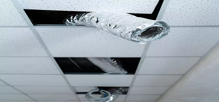 Our Air Duct Pet Hair Removal Services in Garfield Heights, OH