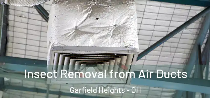 Insect Removal from Air Ducts Garfield Heights - OH