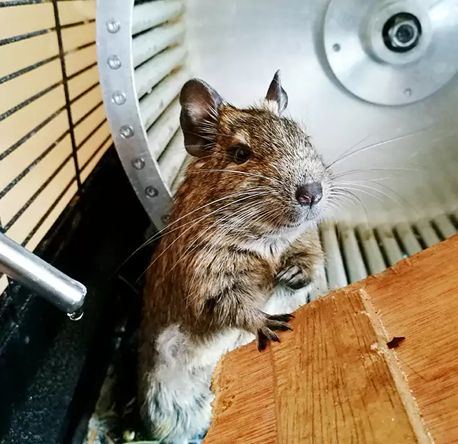 Why Homeowners & Businesses Trust Us Garfield Heights, OH